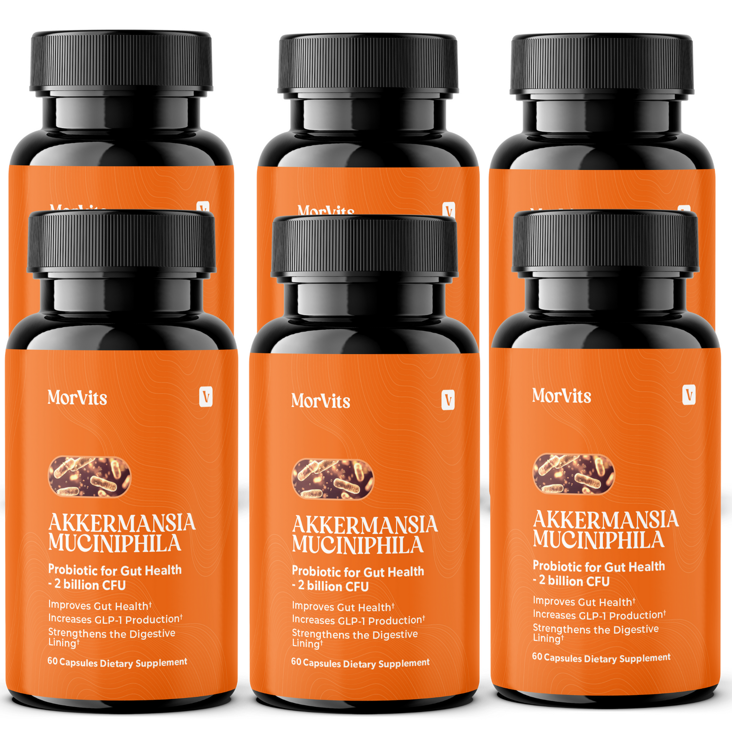 Akkermansia Probiotic