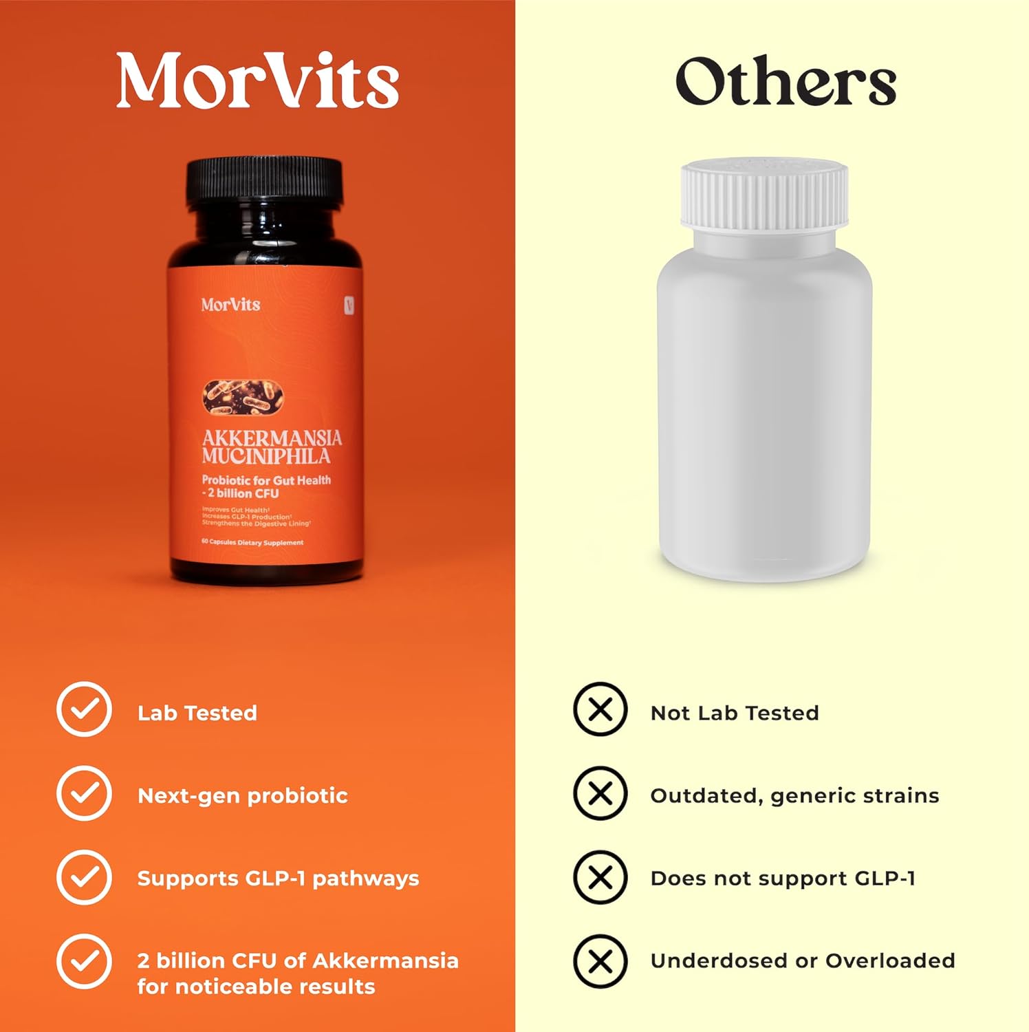 Transform Your Gut, Elevate Your Life!