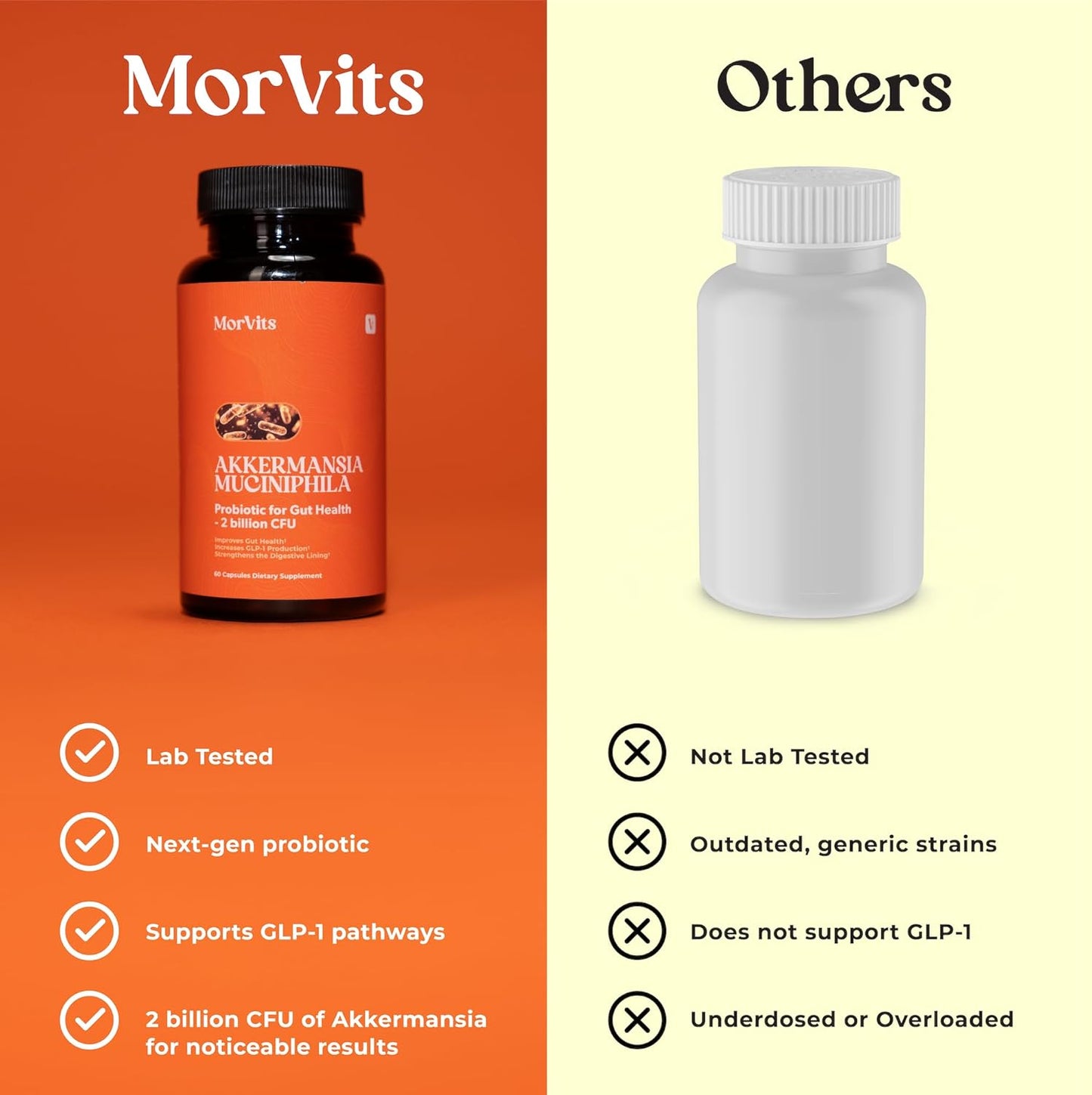 Akkermansia Probiotic