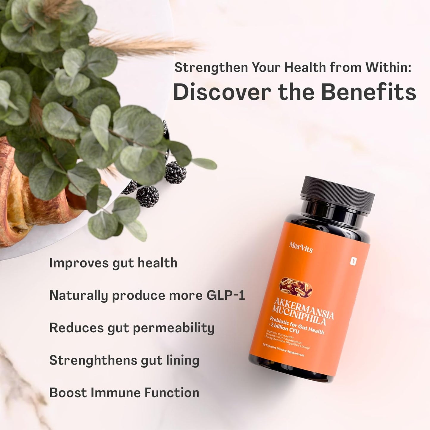 Akkermansia Probiotic