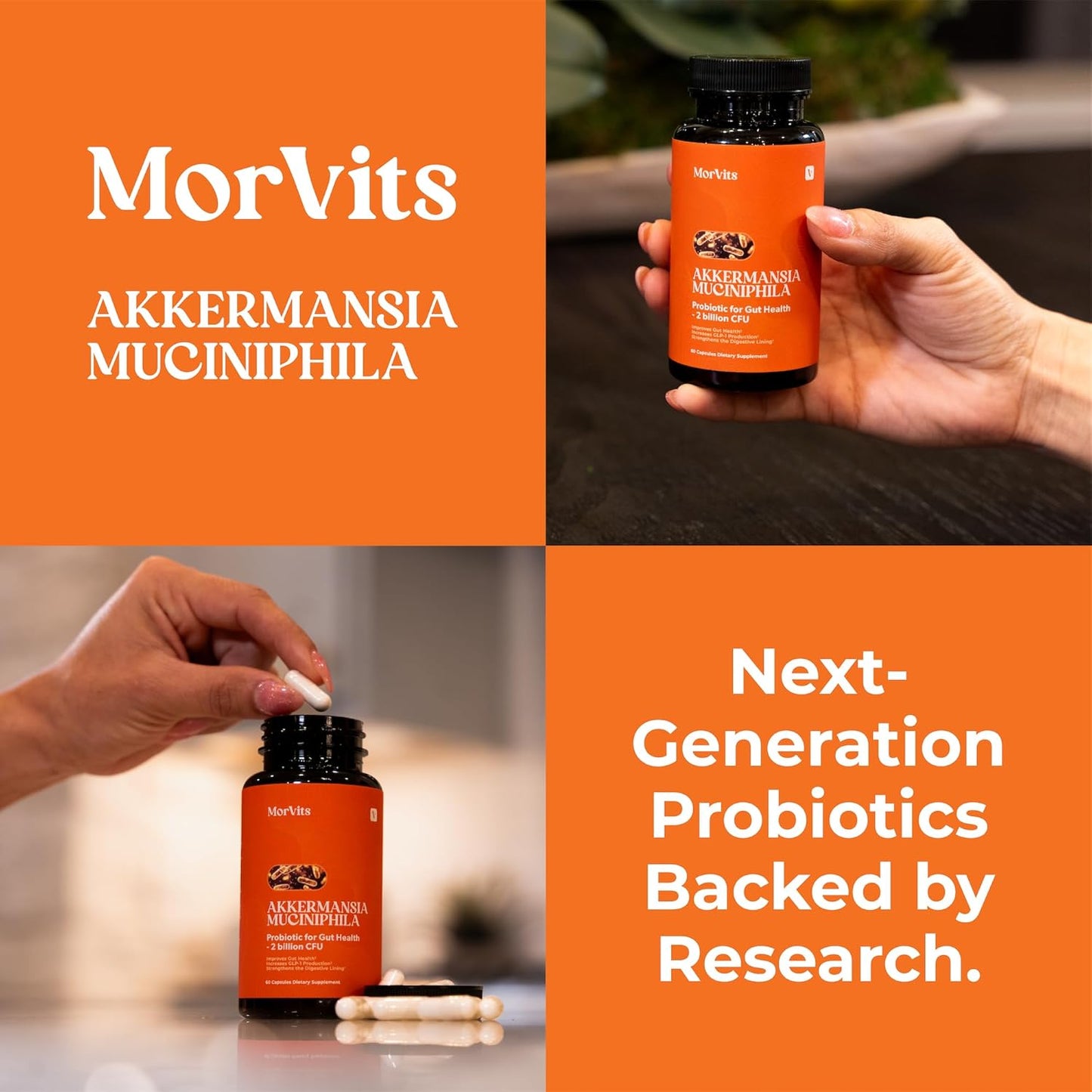 Akkermansia Probiotic