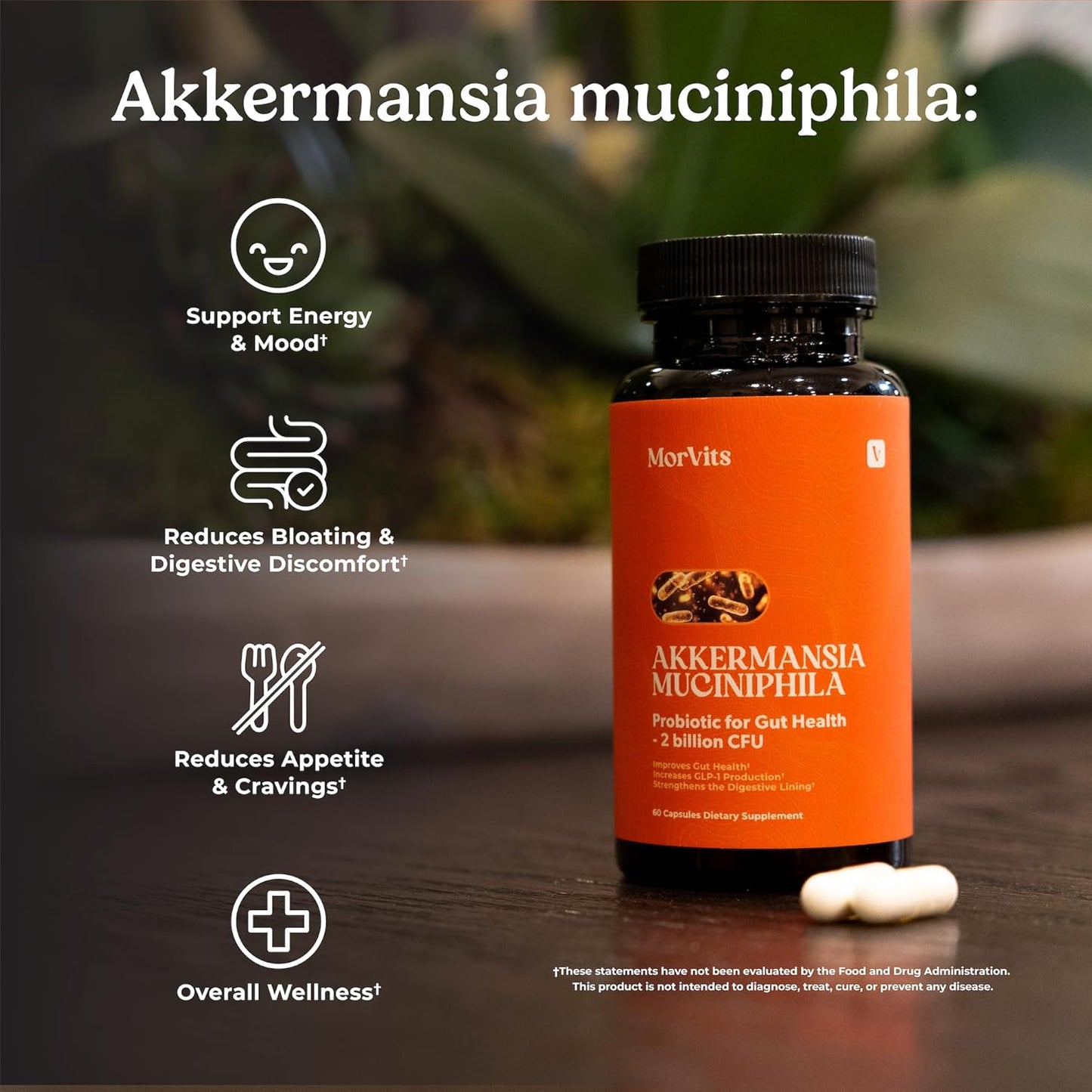 Akkermansia Probiotic