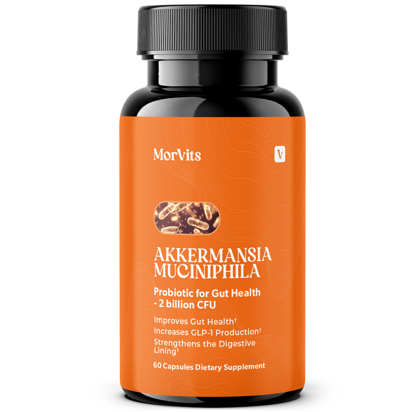 Akkermansia Probiotic