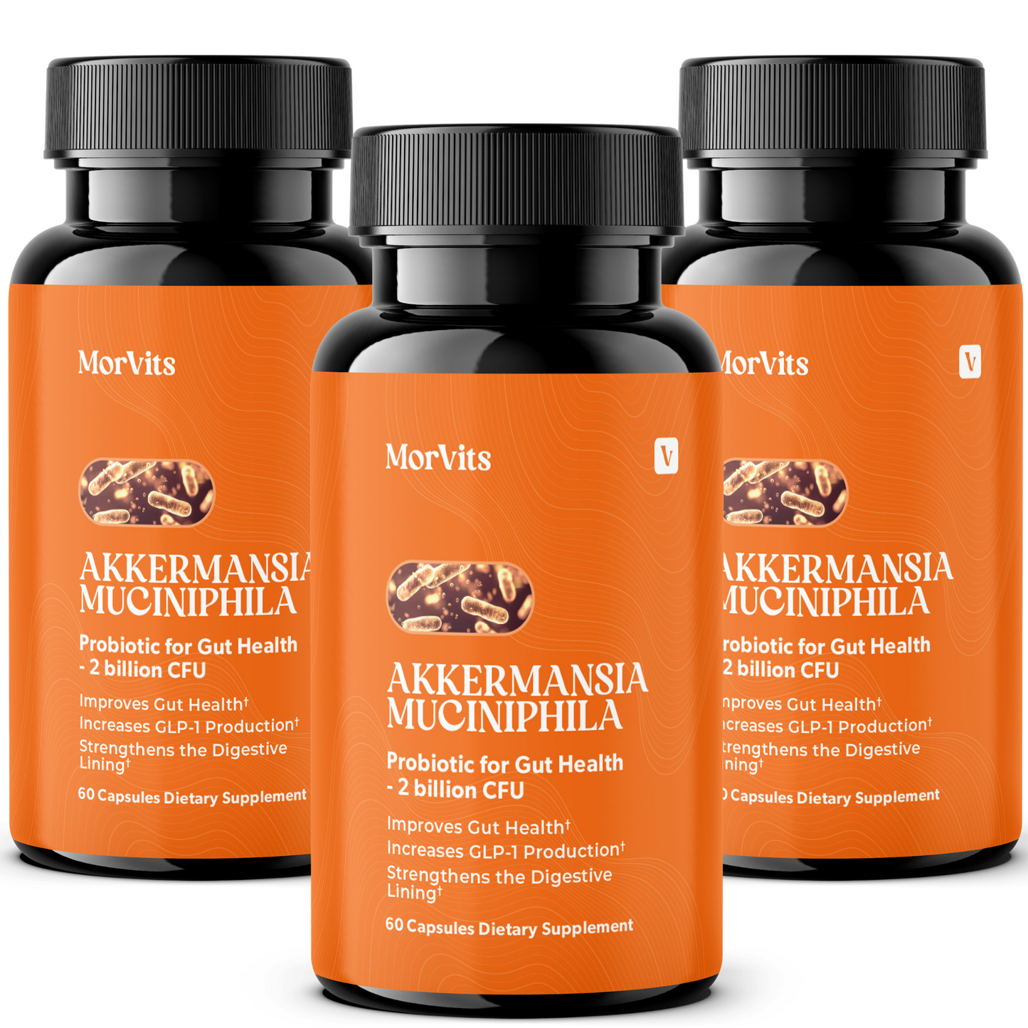 Akkermansia Probiotic